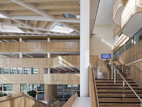 Timber Acoustic Panels at Newcastle University